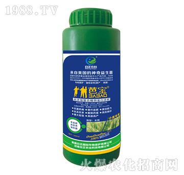 С(zhun)-ߝsֲﵰҺ-r(nng)