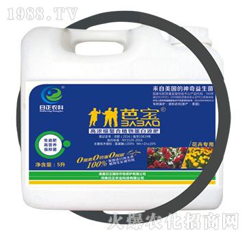 ܌(zhun)ãͰ-ߝsֲﵰҺ-r(nng)