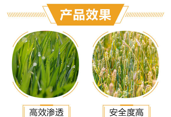 進(jìn)口專用殺螨助劑-天狄-科利農(nóng)_05