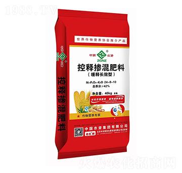 L(zhng)ЧͿጓ24-8-10-r(nng)