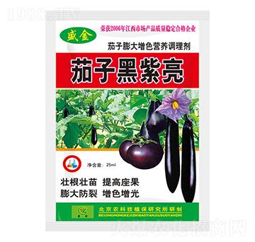 茄子膨大增色營養調理劑-茄子黑紫亮-盛金-圣金肥業