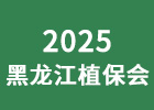 2025ֲ