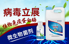 山東果利夫作物營養有限公司