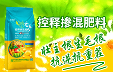 石家莊大化肥業有限公司